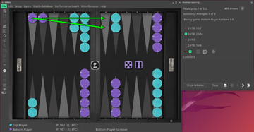 the performance coach